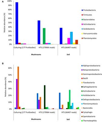 Bacterial Communities in Boreal Forest Mushrooms Are Shaped Both by Soil Parameters and Host Identity